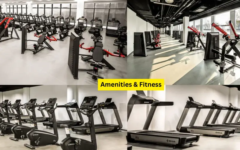 🏋️ Amenities & Fitness