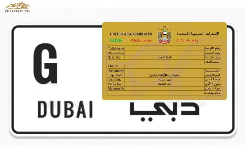 Vehicle Registration and Licensing