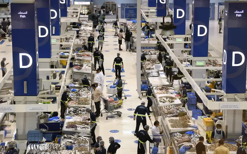 Fujairah Fish Market function