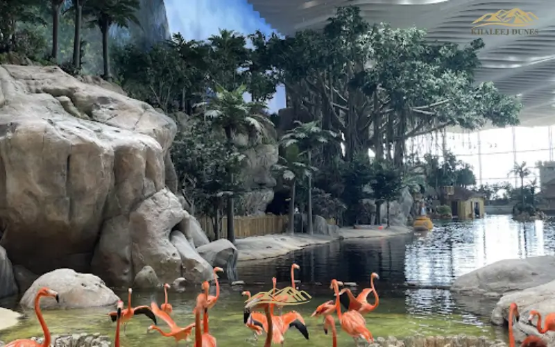 Travel and Living Tips