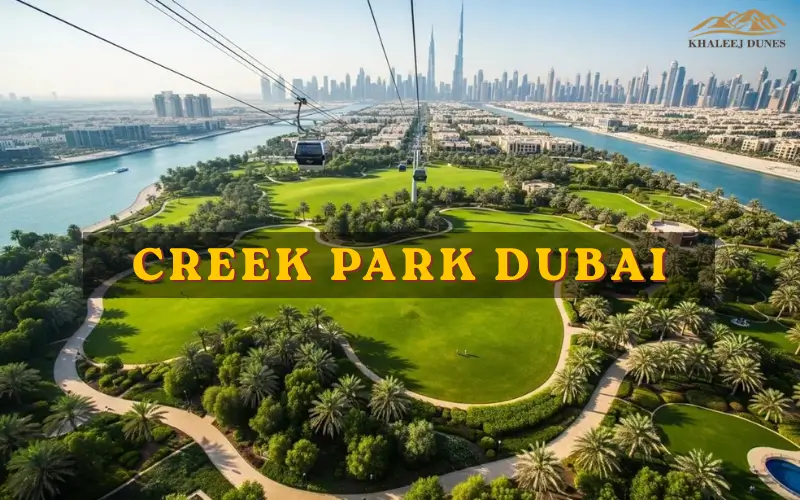Creek Park Dubai | Complete Visitor Guide| Location, Timings and Attractions
