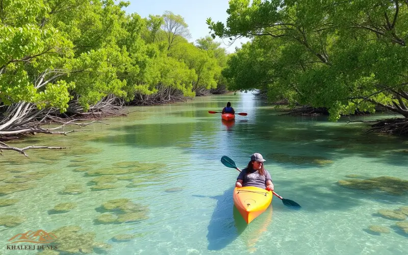 Kayaking Through Mangroves