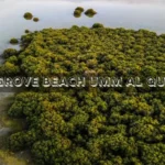Mangrove Beach Umm Al Quwain