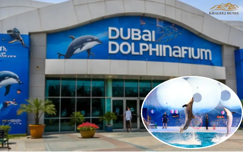 duabi Dolphinarium