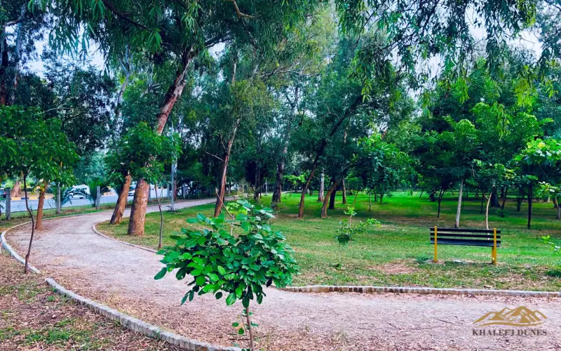 jogging track at Hamidiya Park Ajman