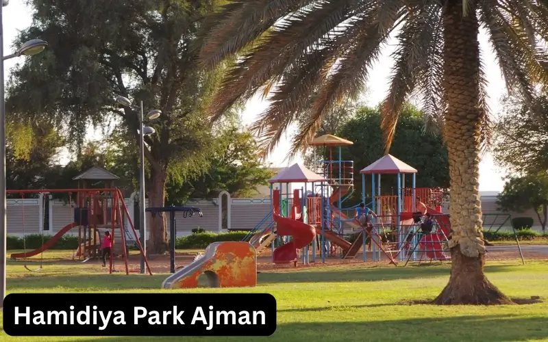 Hamidiya Park Ajman Complete Visitor Guide 2026 Timings, Location, Things to Do & Nearby Attractions