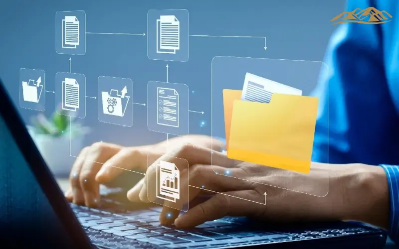 PRO and Documentation Services