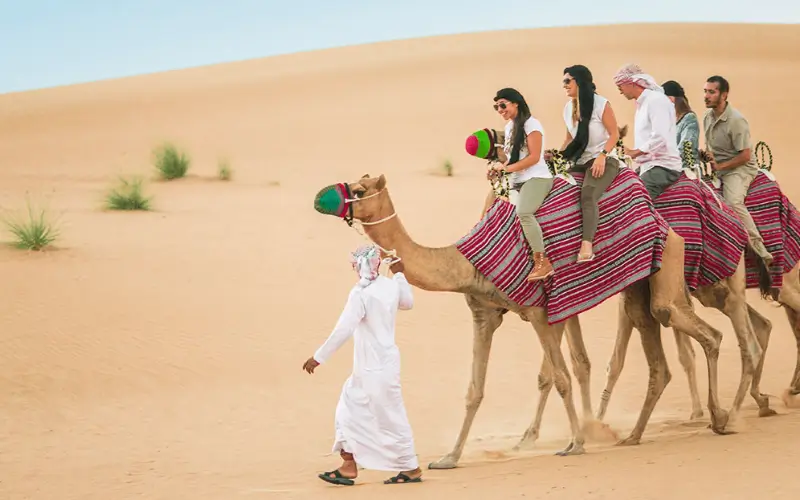 Umm Al Quwain Zoo Camel and Horse Riding