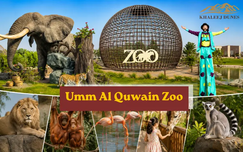Popular Animals and Exhibits to Explore at Zoo Wildlife Park Umm Al Quwain