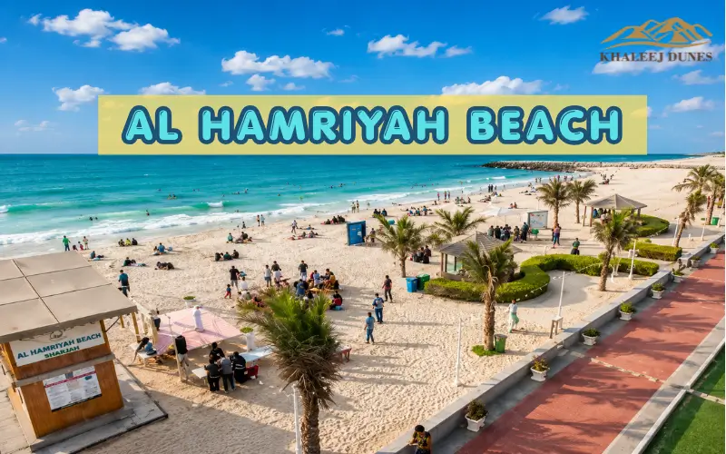 Al Hamriyah Beach Sharjah | Family Guide, Attractions and Travel Tips