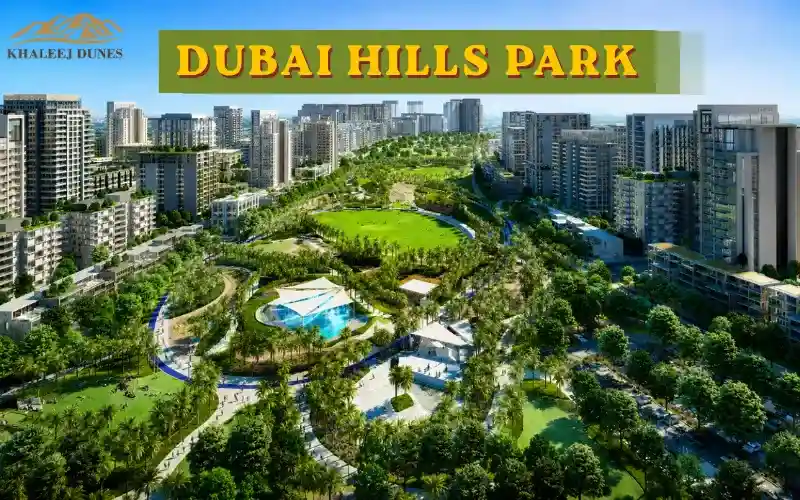 Dubai Hills Park |  Visitor Guide, Location, Activities, Transport, Accessibility & Family Experience