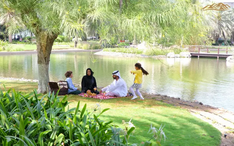 Picnic and Seating Areas