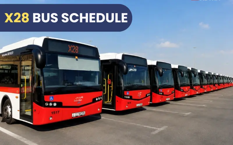 X28 Bus Schedule – Complete Timings, Route, Stops & Travel Guide